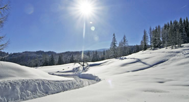 Winterurlaub in St. Martin am Tennengebirge im Martinerhof