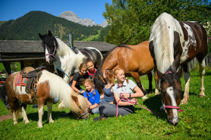 Pferde- und Reiterparadies am Martinerhof
